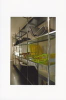 216 F 008 2012 HR